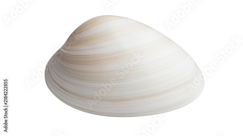 Quadro su tela Isolated light-colored bivalve clam shell, a marine mollusc and seafood ingredient, natural detail