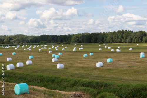 Round bales of hay wrapped in protective plastic wrap are lying in a field. The concept of agriculture
