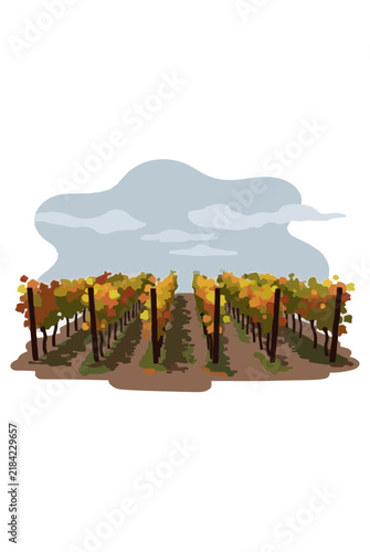 Vineyard Rows Under Cloudy Autumn Sky Vector Icon Illustration - Colorful Autumnal Grapevines in Pastoral Landscape with Wooden Posts and Moody Overcast Clouds in Minimalist Flat Style