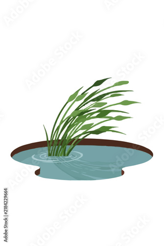 Hand-traced minimalist vector illustration of lush green reeds bending gracefully in strong wind over a still tranquil pond with delicate ripples and soft reflections on a clean white background