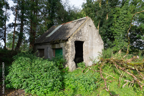 An abandoned concrete outbuilding with a weathered corrugated roof on an old farm. The derelict structure stands surrounded by overgrown nettles, dense woodland, and fallen branches.