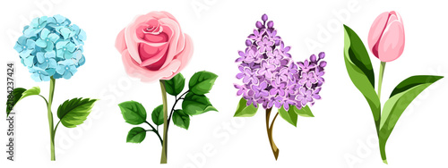 Rose, lilac, tulip, and hydrangea flowers. Pink, blue, and purple flowers. Set of vector illustrations