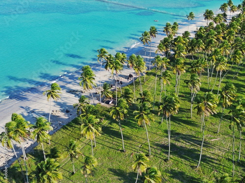 Ipioca beach near to Maceio city in Brasil, drone view from top. Coconut palm plantation in front of sea