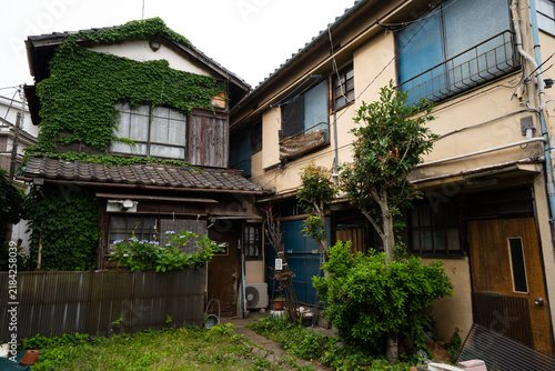Naklejka 青々としたツタが壁面を覆う木造家屋と、昭和の面影を残す古い建物が並ぶ情緒的な街並み
