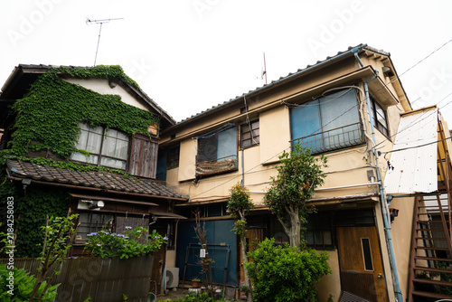 Fototapeta 青々としたツタが壁面を覆う木造家屋と、昭和の面影を残す古い建物が並ぶ情緒的な街並み