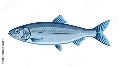 Illustration of a Herring Fish Isolated on White
