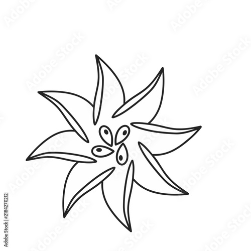 Outline of a star-shaped flower
