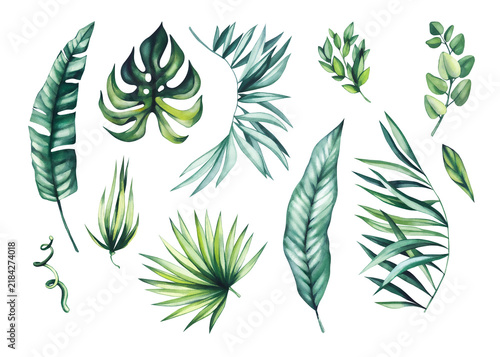 Hand painted tropical watercolor flowers and exotic botanical elements with lush green leaves, perfect for wedding stationery, branding, textiles, fabric, packaging, invitations, and home decor
