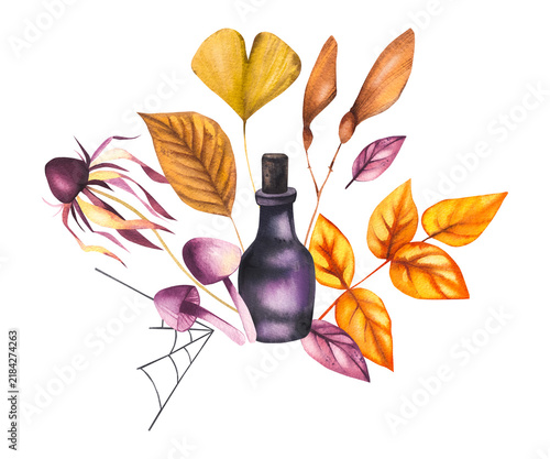 Autumn Halloween bouquet of dried leaves and flowers with bottle. Autumn still life for seasonal design, tableware, textiles, clothing, and printing.