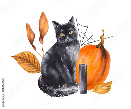 Autumn Halloween bouquet of dried leaves and flowers with pumpkins. Mystical cat still life for seasonal design, tableware, textiles, clothing, and printing.
