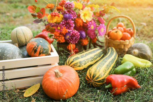 Canvastavla Autumn harvest of fresh vegetable with fall flowers in bouquet in sunlight