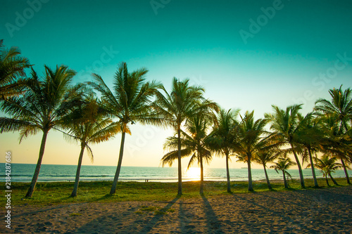 Peaceful ocean scenery with lush palm foliage and soft morning light creates a relaxing tropical vacation atmosphere.