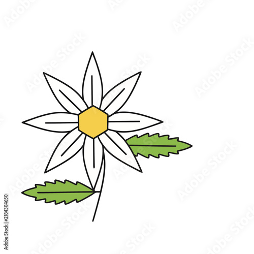 Stylized Daisy Flower with Green Leaves