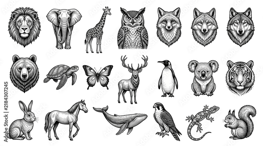 Obraz premium Vintage woodcut animal illustrations, set of 20 engraved wildlife icons, black and white hand drawn nature sketches for branding and logos