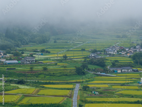 Green rice fields and rural houses on mountain slope under cloud layer - Nagano, Japan