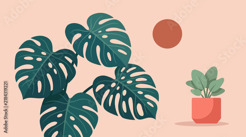Monstera deliciosa leaves and potted plant flat illustration.