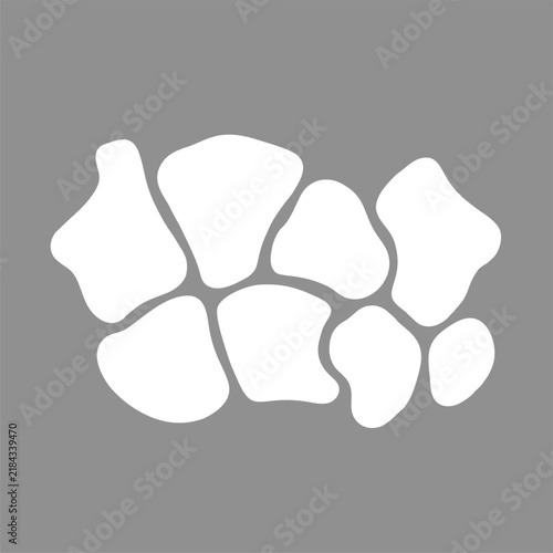 Bild auf Leinwand An eight carpal bones of the human wrist (scaphoid, lunate, triquetrum, pisiform, trapezium, trapezoid, capitate, and hamate) arranged in proximal and distal rows to connect the forearm to the hand