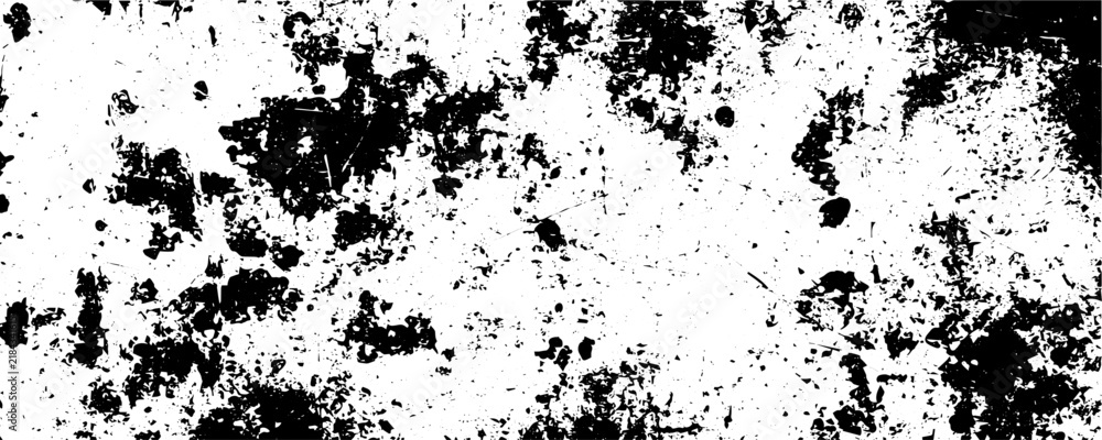 Fototapeta premium Panoramic Black and White Grunge Texture Vector Background with Distressed Weathered Surface and Splatters