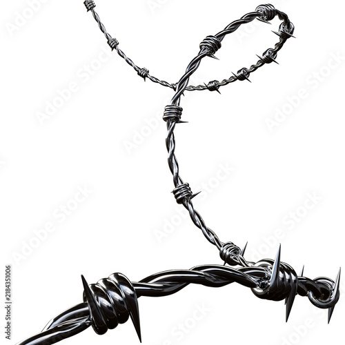 Tangled Metallic Barbed Wire Loop