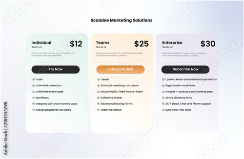 Scalable Online Marketing Solutions Pricing Table Vector Infographic Banner