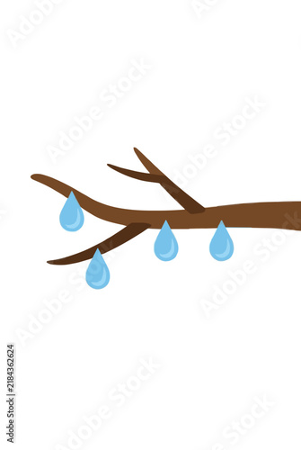 Four clear blue raindrops clinging to a bare brown tree branch, flat vector illustration on a white background