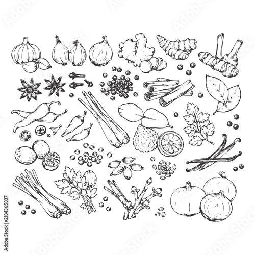 seasoning doodle vector