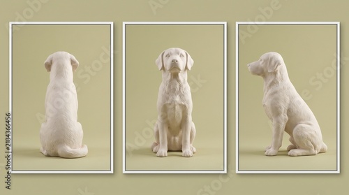 Dog character 3D turnaround on olive background. Front, side, back view patient pet model mockup