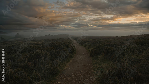 sunset over the field