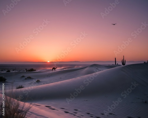 sunset on the desert