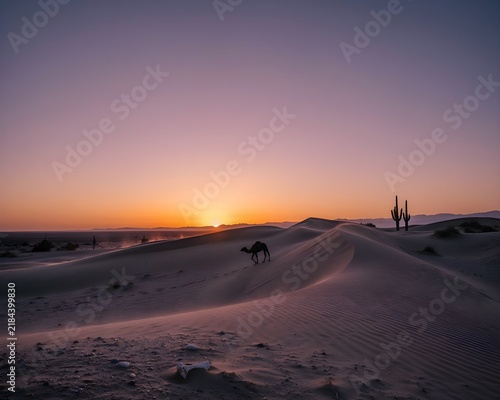 sunset in the desert