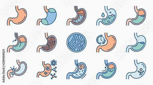 Foto Vector icon set depicting human stomach anatomy and digestive health conditions, including gastric acid, internal lining, bacterial infections, metabolism, and medicine on white background
