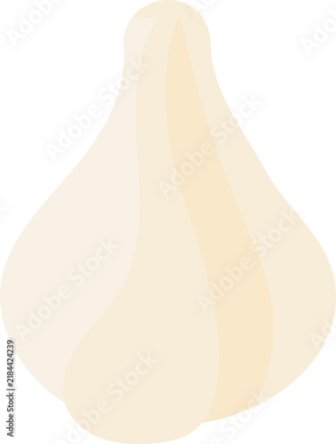 Garlic illustration
