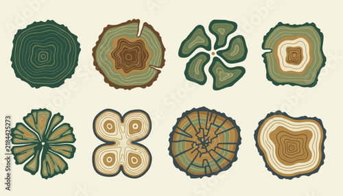 Collection of eight diverse tree ring cross-section patterns showing different shapes and ages of wooden logs.