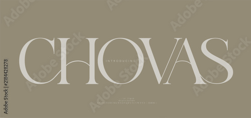 Elegant alphabet beauty logo font. Classic beautiful Modern luxury Serif Letter Minimal Fashion. Typography decoration logotype fonts, wedding, logos. vector illustration