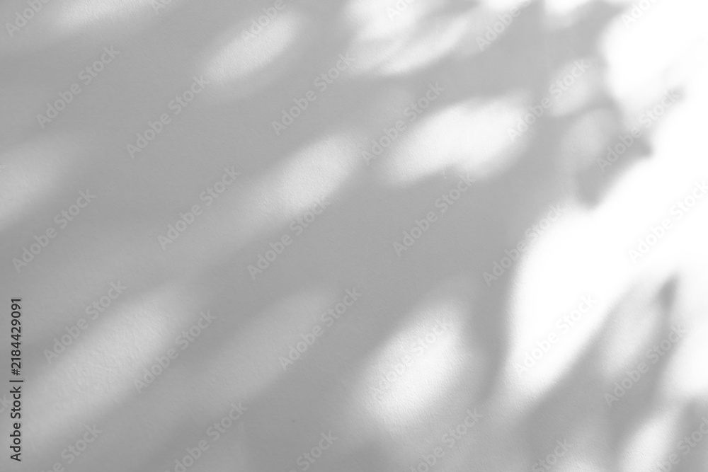 Obraz premium Abstract natural tree branch leaves shadow on white wall background