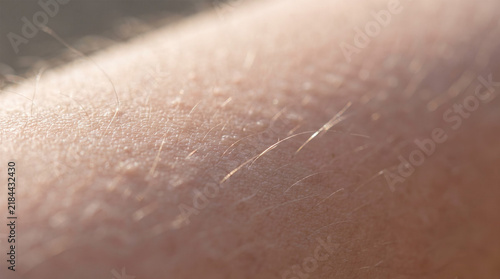 Plakat Extreme macro of goosebumps and hair follicles in sunlight