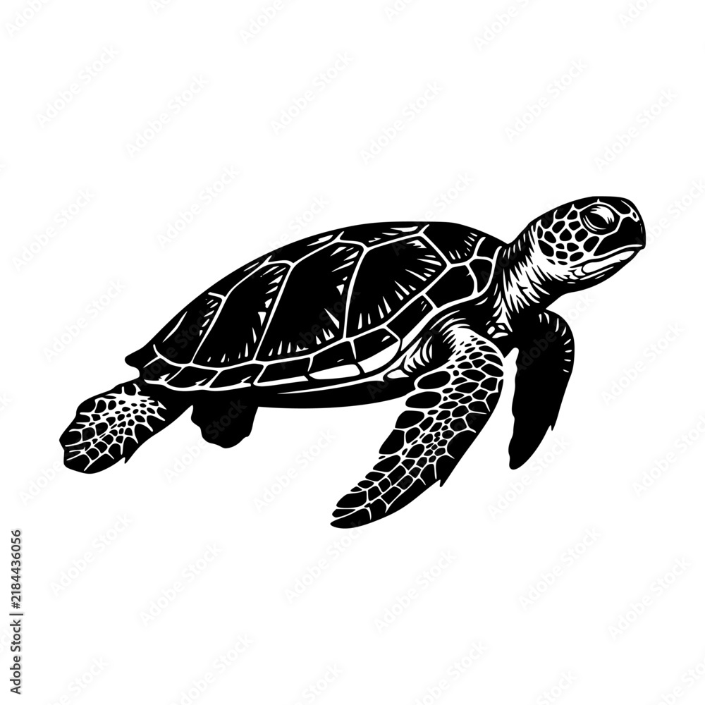 Obraz premium Simple black sea turtle silhouette icon isolated on white background for marine conservation