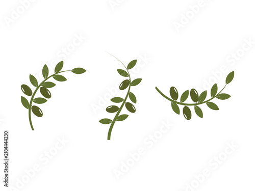Isolated olive branch vector logo set, olive oil vector template
