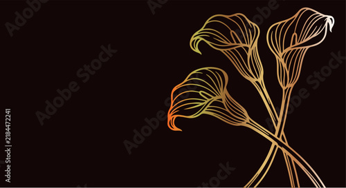 luxury golden calla lily flower borders, elegant metallic arum lily line art covers, engraved botanical spadix dark backgrounds, ornate curved spathe wedding frames, vintage gold blossom invitation ba