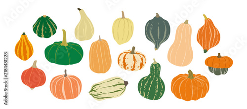Obraz na płótnie Pumpkin and squash vector collection, Drawing of natural healthy food elements for design menu label packaging