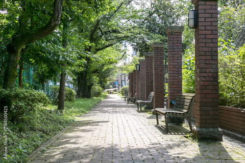 Konstfotografi 井草川遊歩道・道灌橋公園（東京都杉並区上井草3-14）