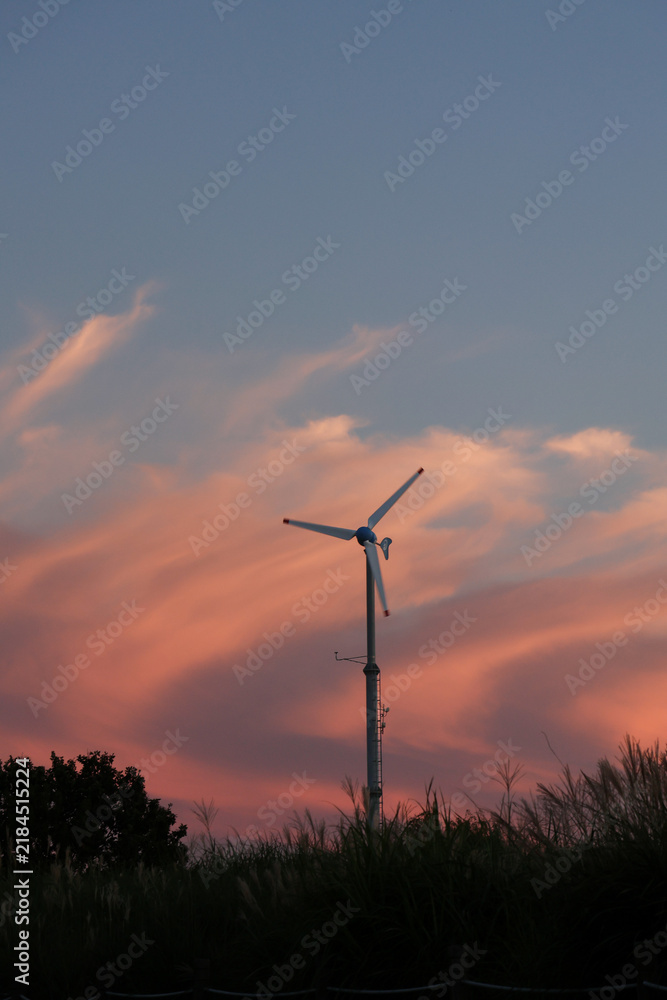 Obraz premium wind turbine at pink sunset