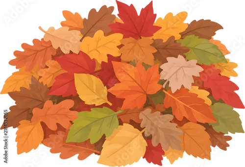 Pile of Colorful Autumn Fallen Leaves
