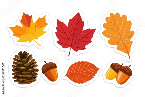Colorful autumn leaves, pinecone, and acorns illustration with warm fall tones on a white background.
