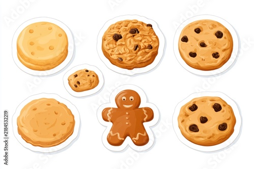 Assortment of cookies and a gingerbread man, including chocolate chip and oatmeal, arranged on a white background.