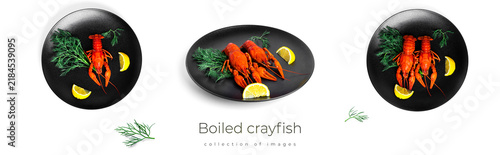 Obraz na płótnie Boiled crayfish with dill and lemon on black plate isolated on a white background