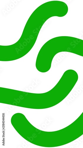 Animated green decorative wavy lines is drawn. Linear vertical background.  Looped video. Vector illustration isolated on white background.
