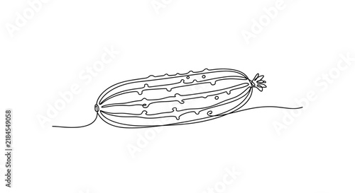 Fresh cucumber as healthy vegetable for cooking and salads