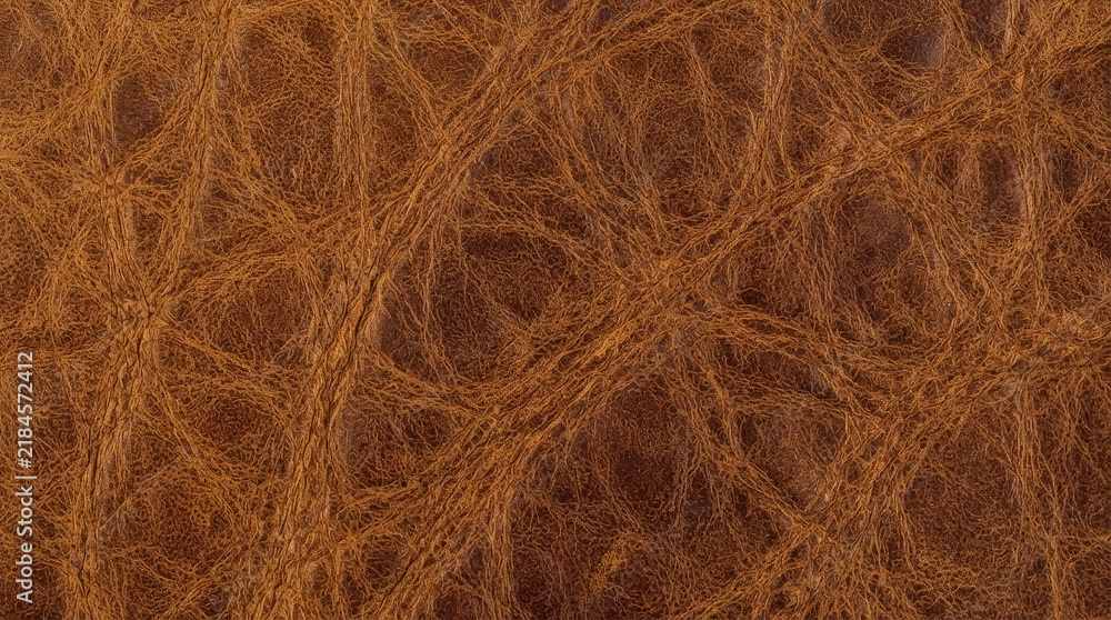 Fototapeta premium Abstract brown fibrous surface with intricate organic pattern