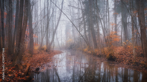 Принти на полотні Der Auwald von Weilheim im geheimnisvollen Morgenlicht im Herbst, Weilheim, Baye